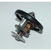 1096283 - Termosztát