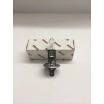 4345856 - Izzó H1 gyári 4345856 - Izzó H1 gyári