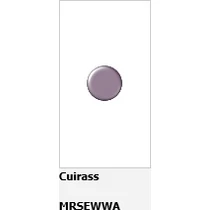 1779154 - Javítófesték spray - Cuirass 150ML 1779154 - Javítófesték spray - Cuirass 150ML