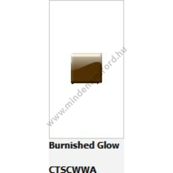 2245687 - Javítófesték stift - Burnished glow 2x9ML