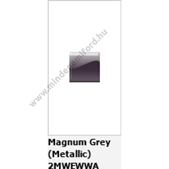 2592076 - Javítófesték stift - Magnum grey 2x9ML